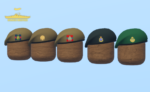 British Beret Bundle - Image 26