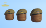 British Beret Bundle - Image 17