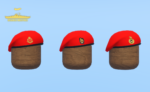 British Beret Bundle - Image 31