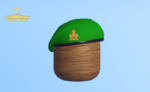 British Beret Bundle - Image 33