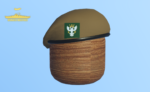 British Beret Bundle - Image 19