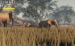 [LIMITED] Rhodesia-Mozambique Border - Image 11